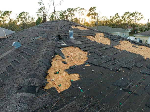Professional Roofing Services in Weatherford, TX